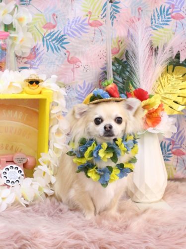 20250824とわくん