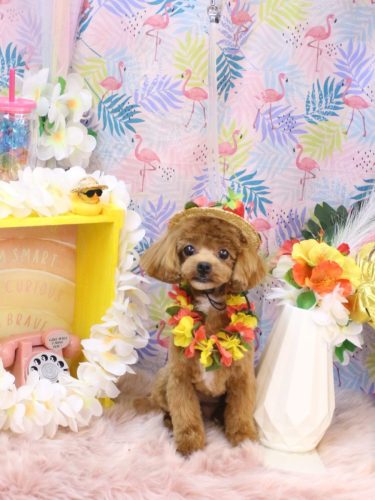 20250826海瑠ちゃん