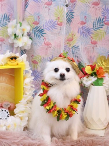 20250826ゆずちゃん