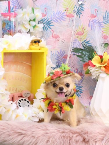 20250826詩ちゃん