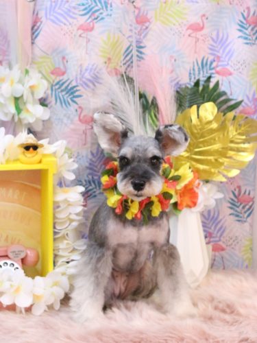 20250826むぎちゃん