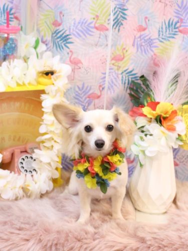 20250827めるちゃん