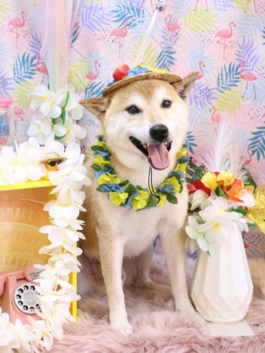 20250827ススムくん