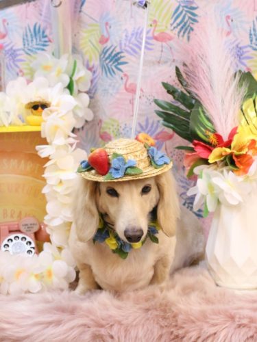 20250827シオンくん