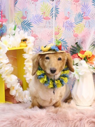 20250827レオンくん