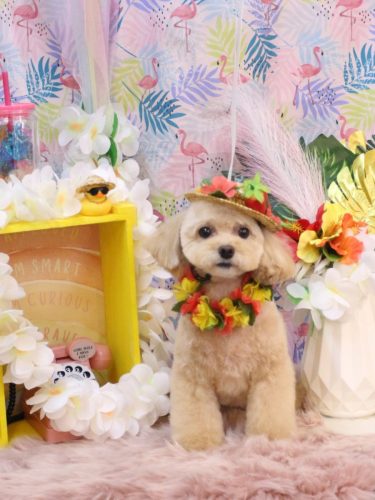 20250828むぎちゃん