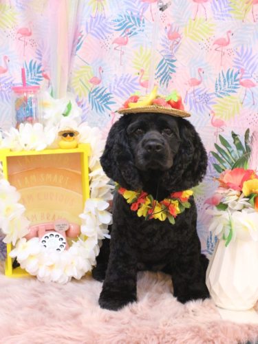 20250828天ちゃん