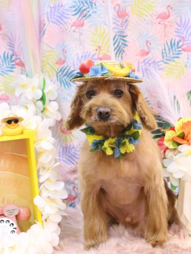 20250828紋之助くん