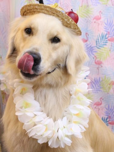 20250829レオくん