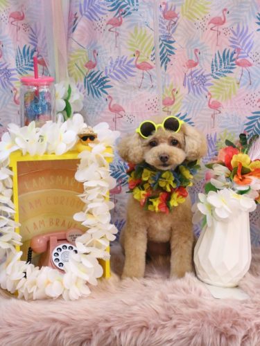 20250829めるちゃん