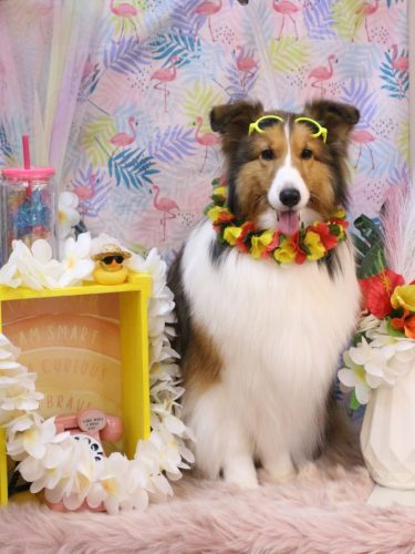 20250829ティーラちゃん