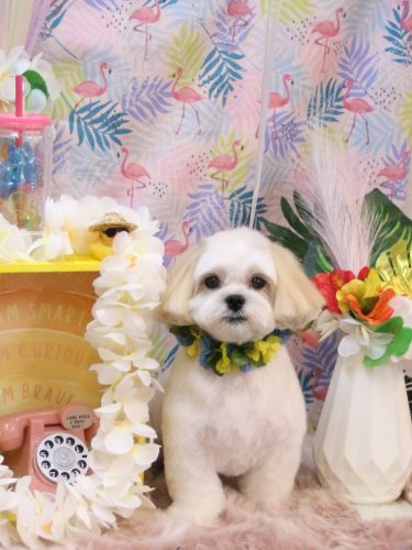 20250830ふくくん