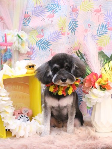 20250830らいちゃん