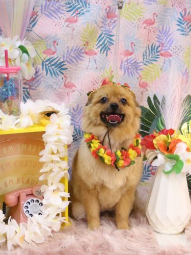 20250830ららちゃん