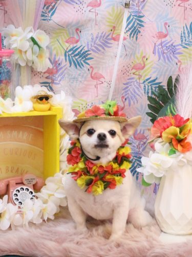 20250830モナちゃん