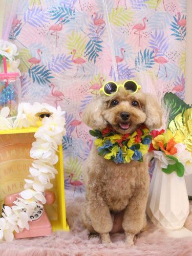 20250830コアくん