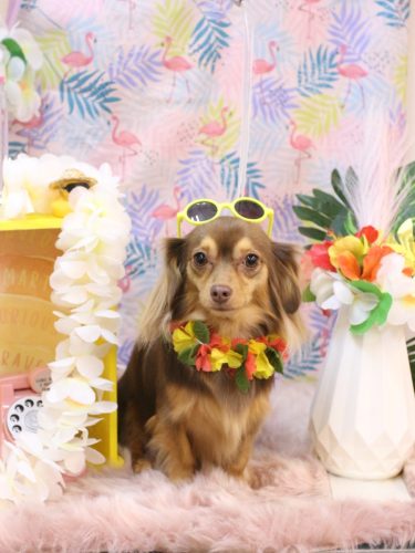 20250830いるちゃん