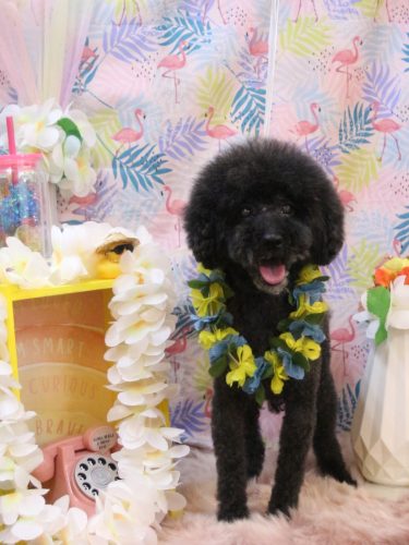 20250830ラブくん