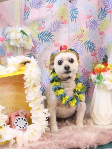 20250830ポンタくん