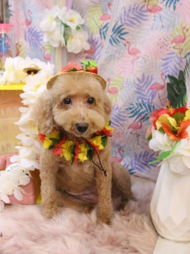 20250830COCOちゃん