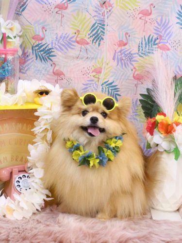 20250831梛都ちゃん