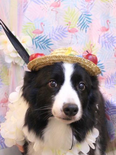 20250831ウィルくん