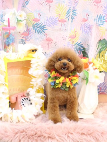 20250831モコちゃん