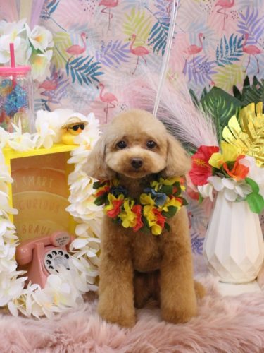 20250831ララちゃん