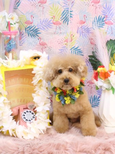 20250831かんたくん