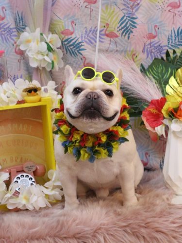 20250831だいずくん