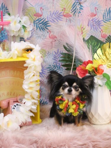 20250831アリューくん