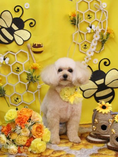 20250902リコちゃん 