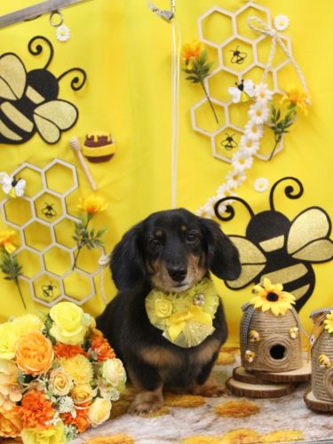 20250902モカちゃん