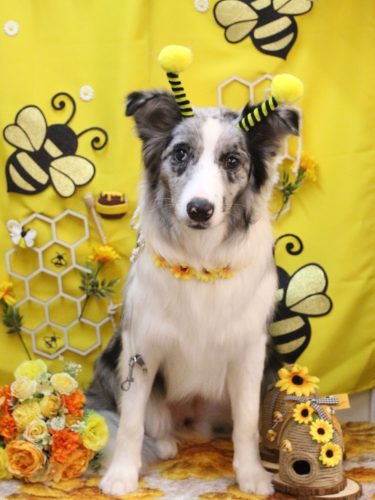 20250902アイスちゃん 