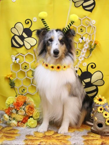 20250902ミルキーちゃん