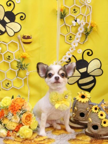 20250902トキくん