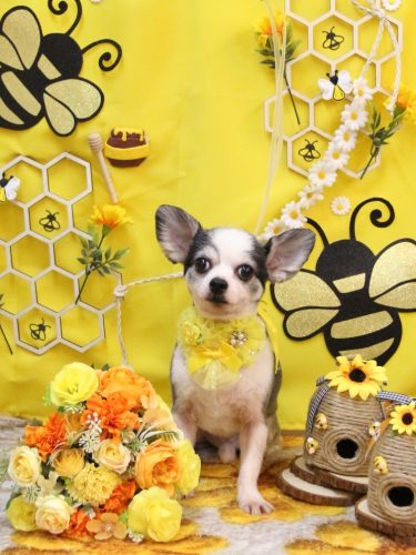 20250902レイくん