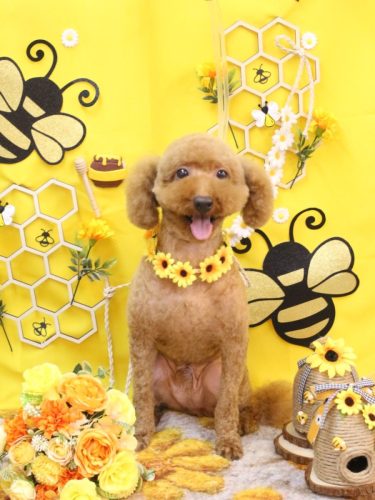 20250903ジョニーくん