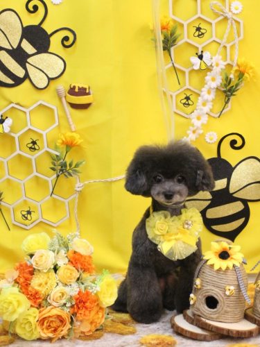 20250903NEROちゃん