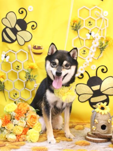 20250903ふうくん