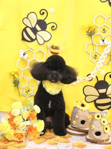 20250903コアくん