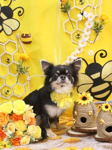 20250903らんまるちゃん