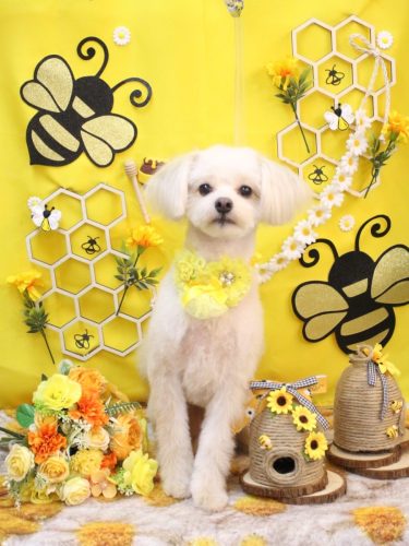 20250904ヌンくん