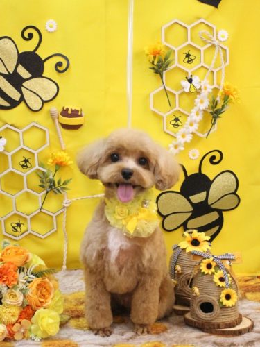 20250904シナモンくん