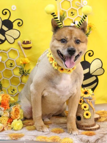 20250904やまとくん