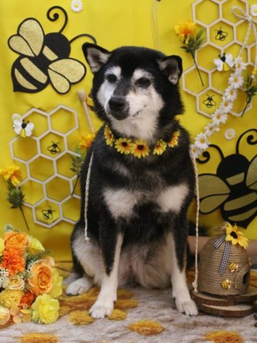 20250904ひめちゃん