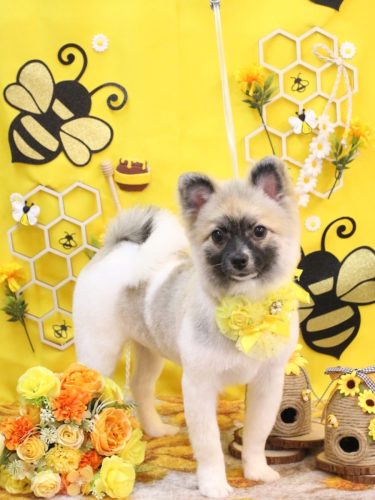 20250904だるくん