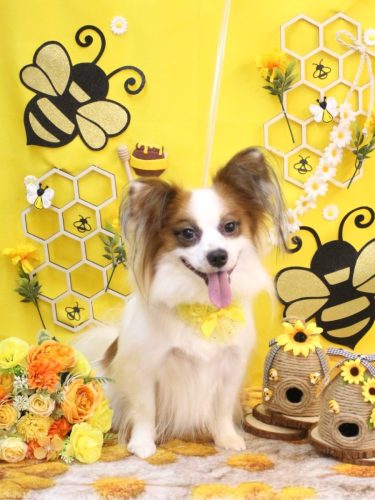 20250904ムーくん