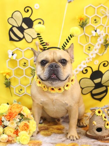 20250904力也くん