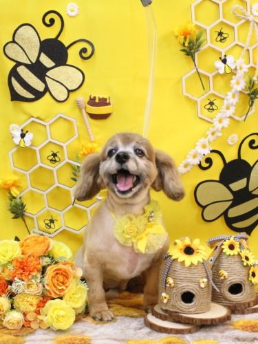 20250905チョビ助くん